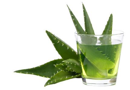 aloevera-table-removebg-preview aloevera-table-removebg-preview